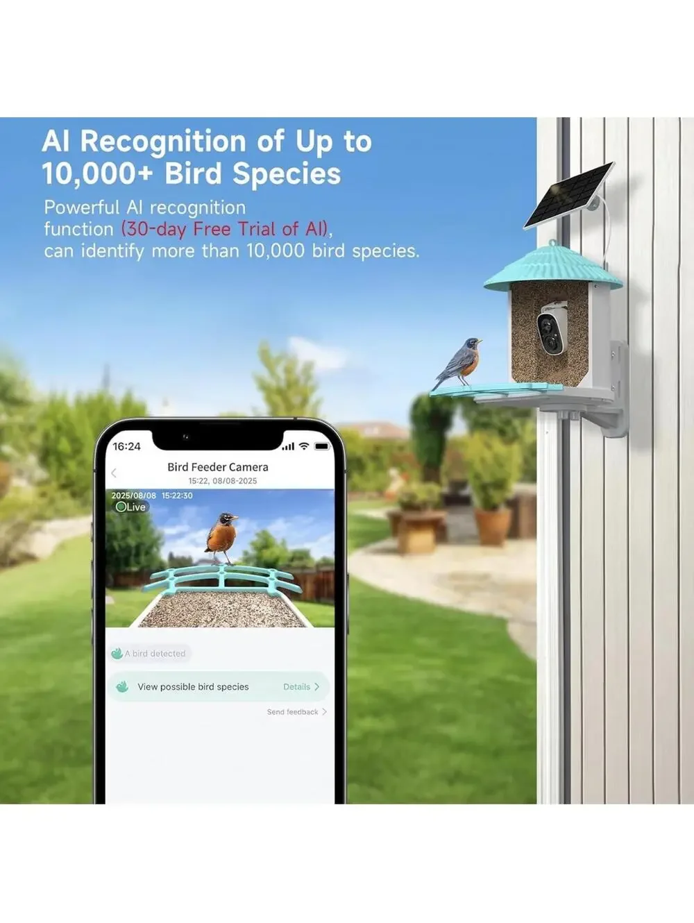 Smart Bird Feeder with Camera, AI Bird Species Identification, 5W Solar Panel